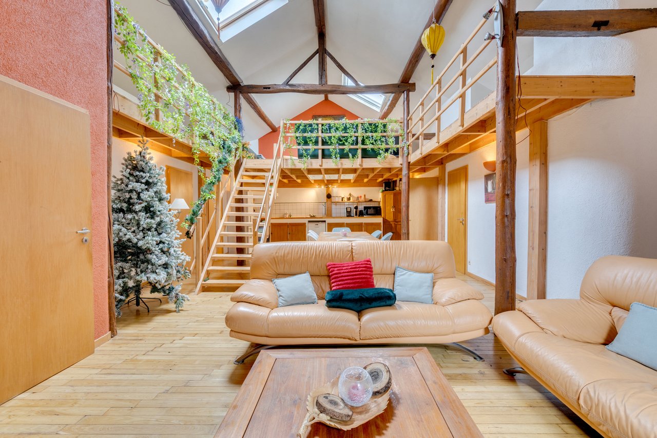 Ensemble immobilier : gîte 15 personnes et loft