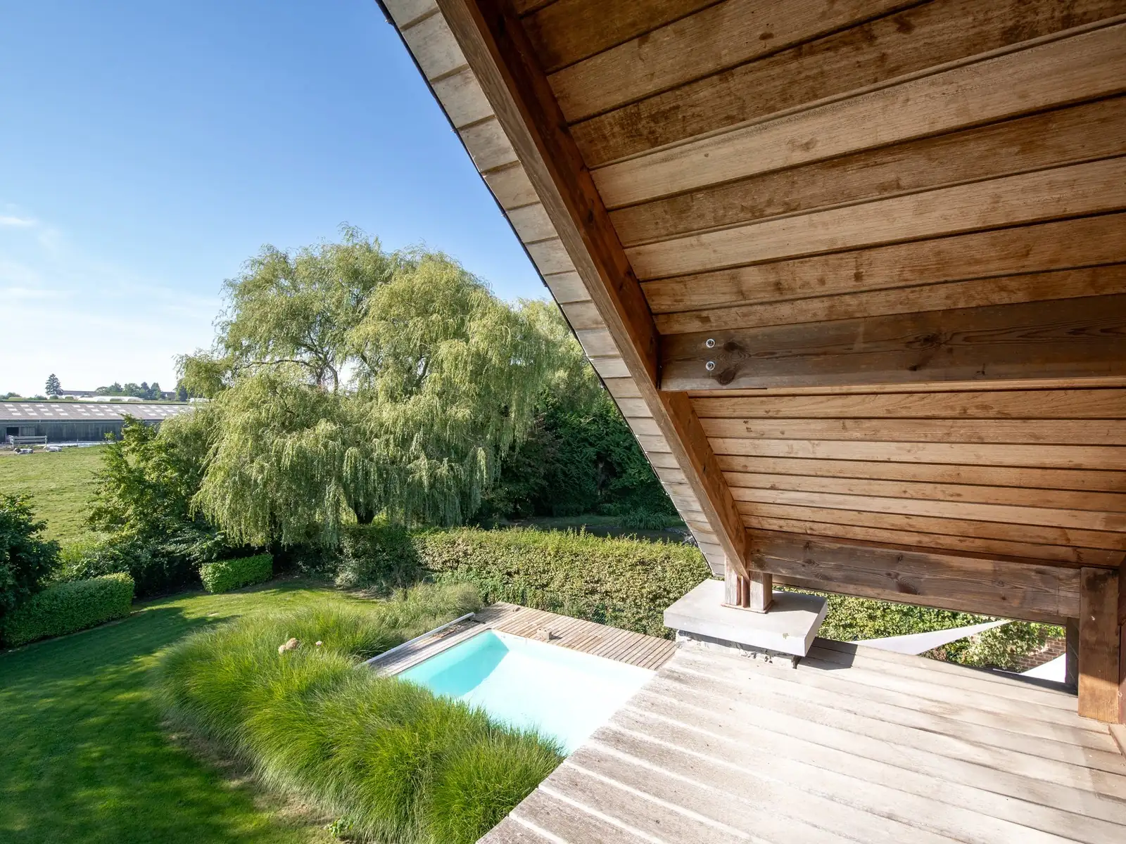 Vue depuis un large sous-face en bois : saule pleureur, haie taillée, bassin