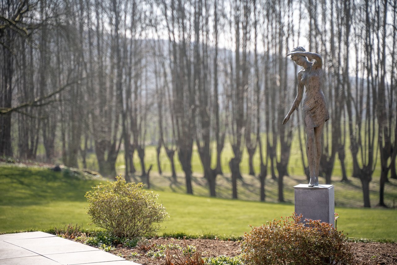Villa de caractère et son parc arboré - photo 15