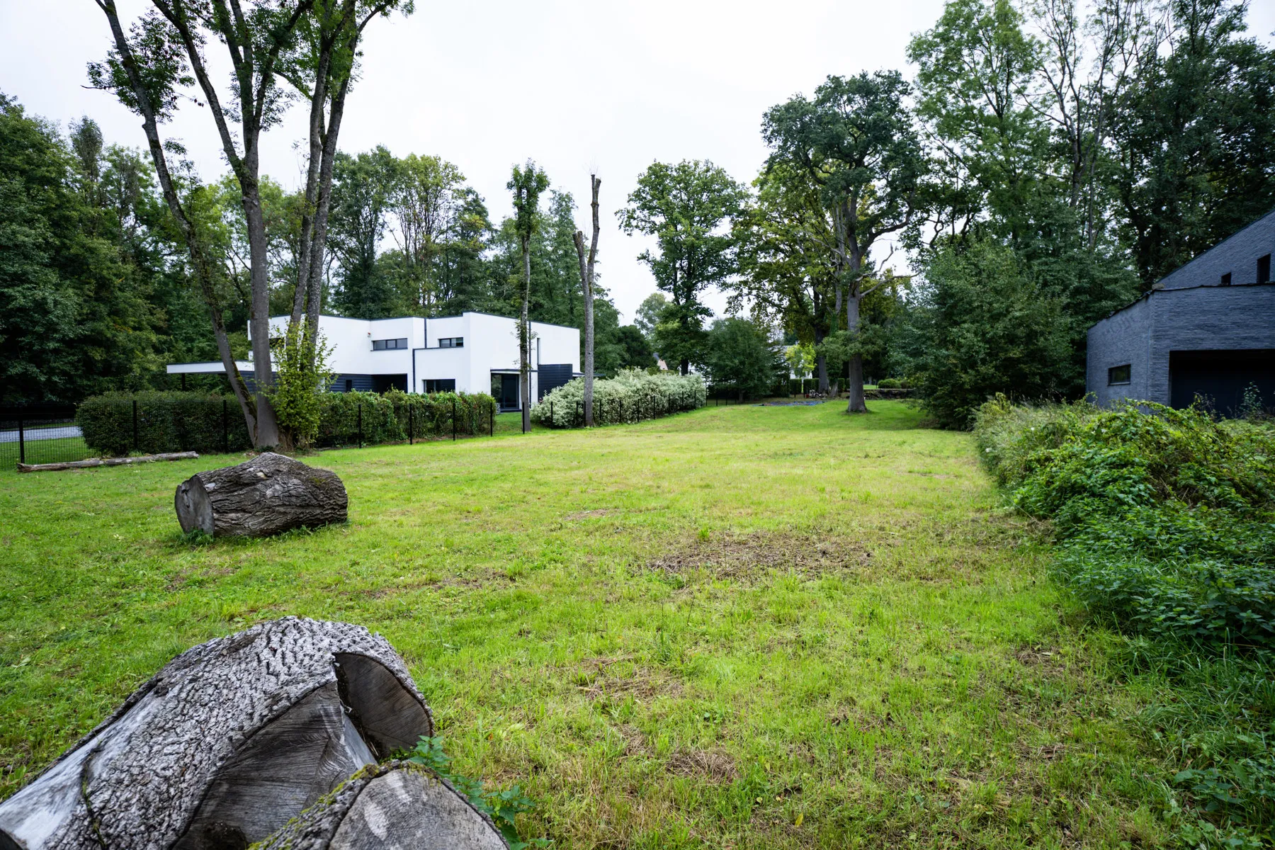 537a9a83a5be4a7992c3e75e5606a585